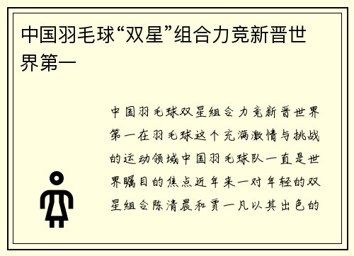 中国羽毛球“双星”组合力竞新晋世界第一