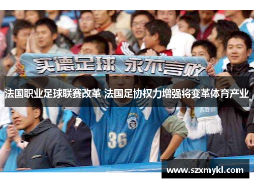 法国职业足球联赛改革 法国足协权力增强将变革体育产业